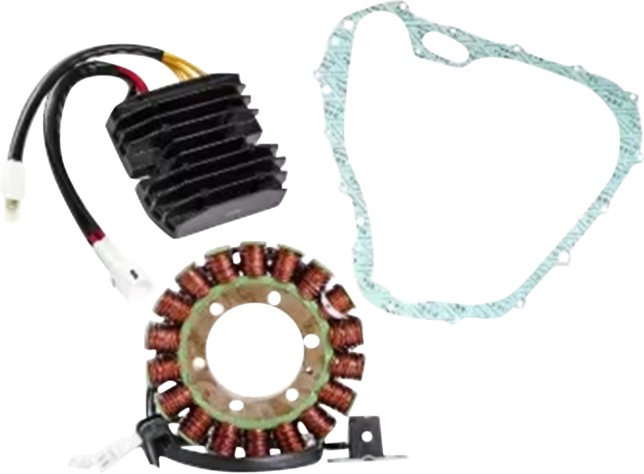 RICK'S MOTORSPORT ELECTRIC Charging Kit