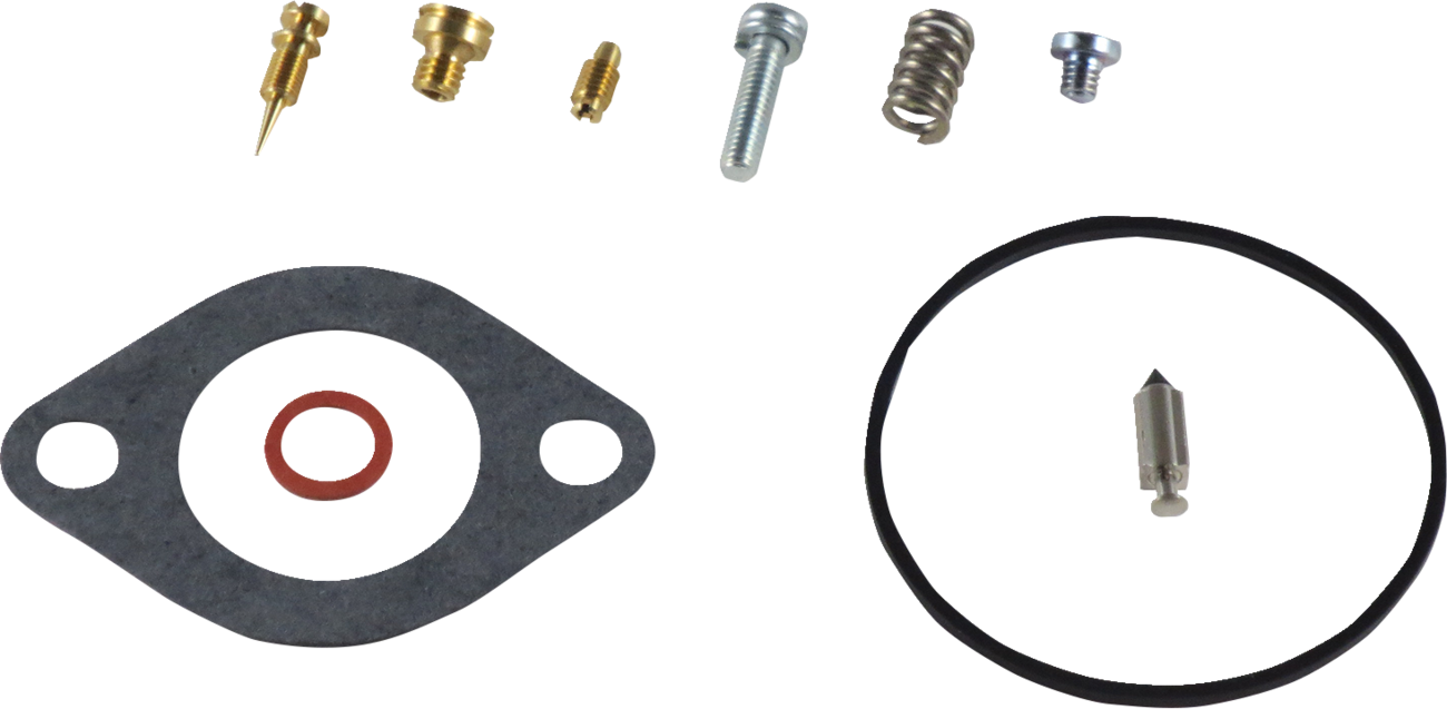Carburetor Repair Kit