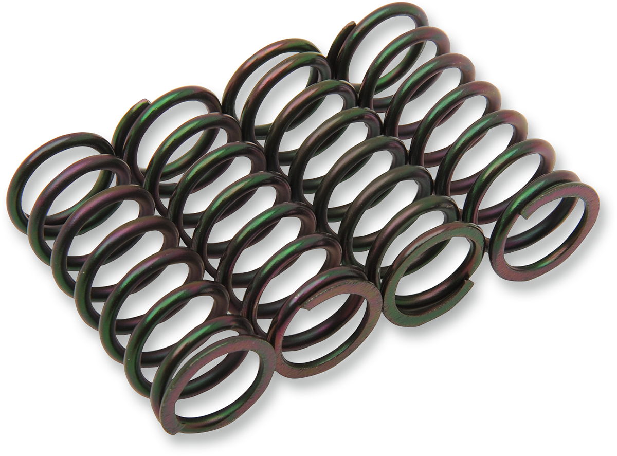 Clutch Spring Kit