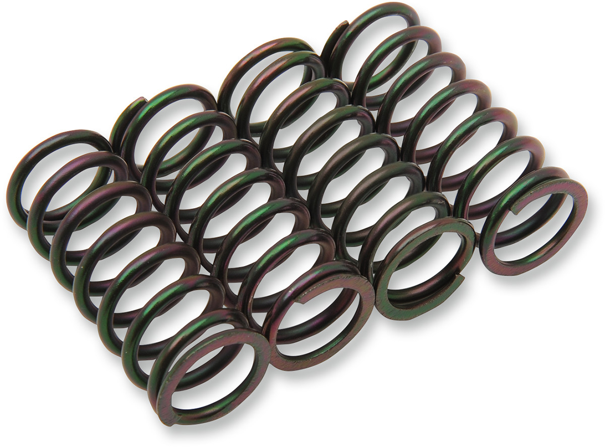 BARNETT Clutch Spring Kit