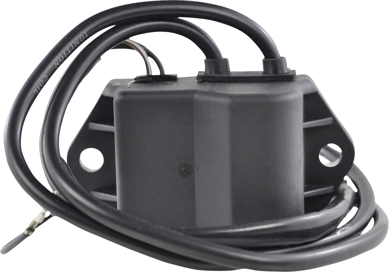 Rm stator CDI Box - Polaris