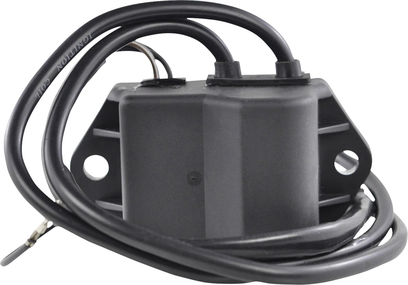 RM STATOR CDI Box