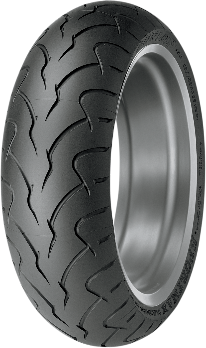 DUNLOP D207 ZR Tire
