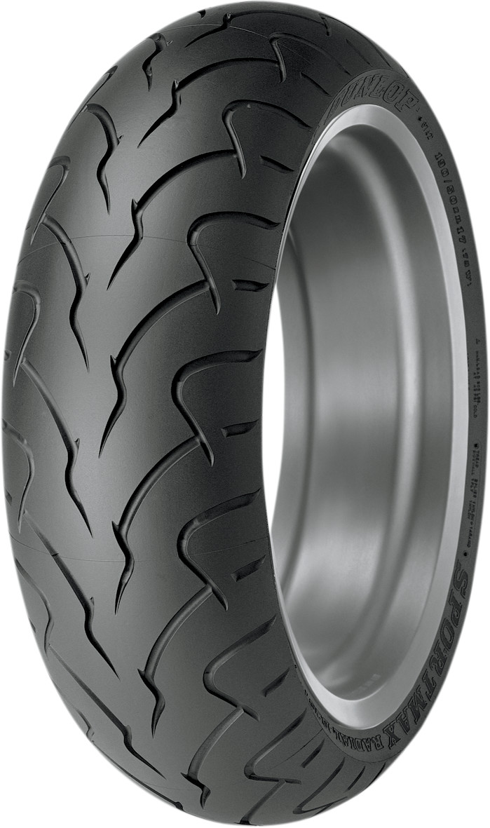 DUNLOP D207/208ZR Tire