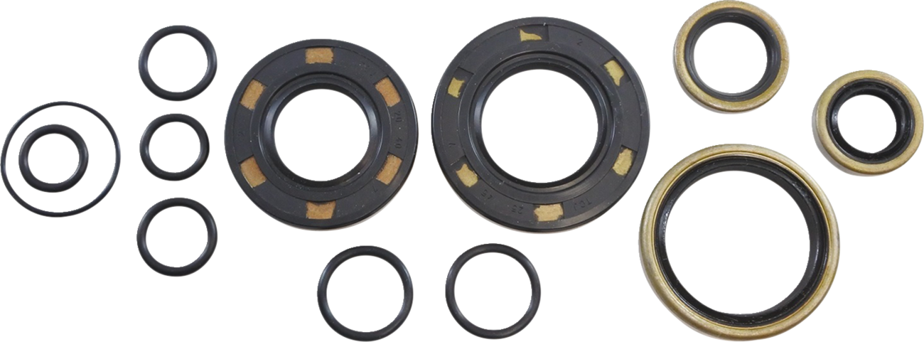 Oil Seal Kit