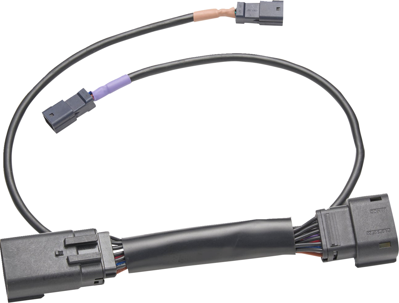 Ciro Wire Harness - Harley Davidson