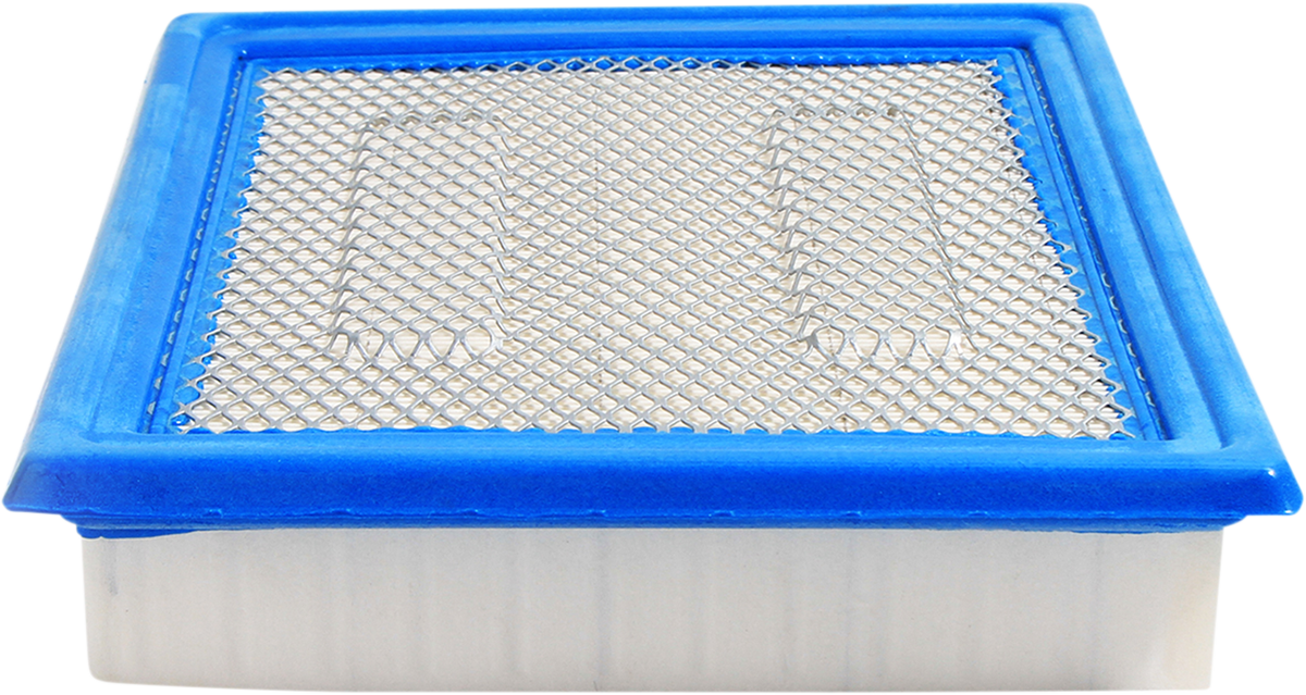 All balls Replacement Air Filter - Polaris
