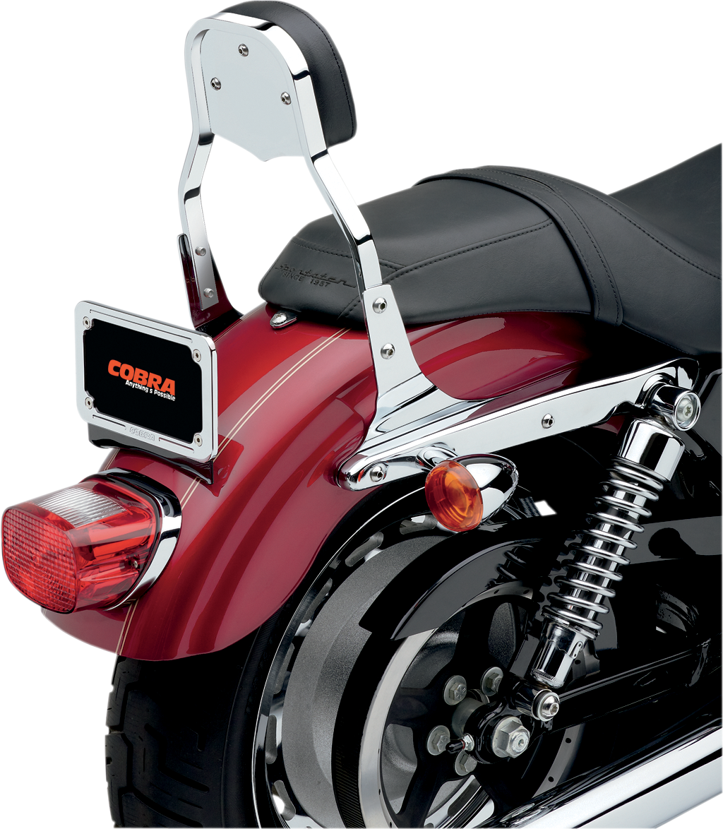 Square sissy bar 2025