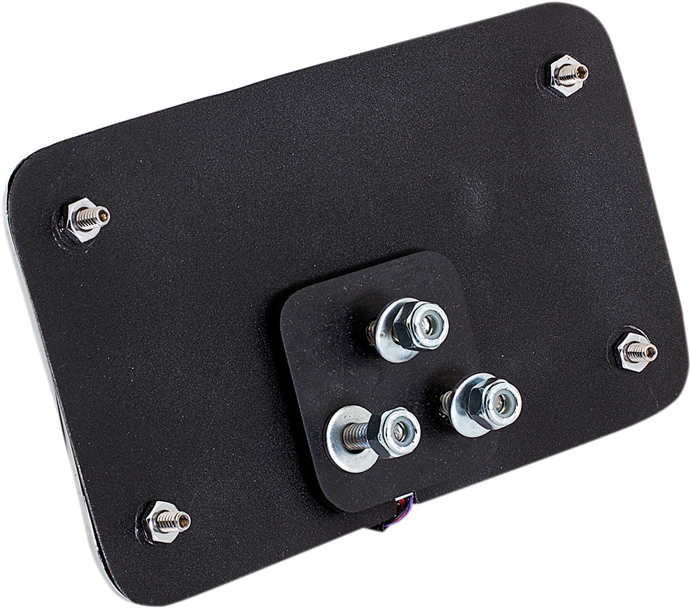 Curved Slick Signals License Plate Frame with 3-Hole Backing Plate