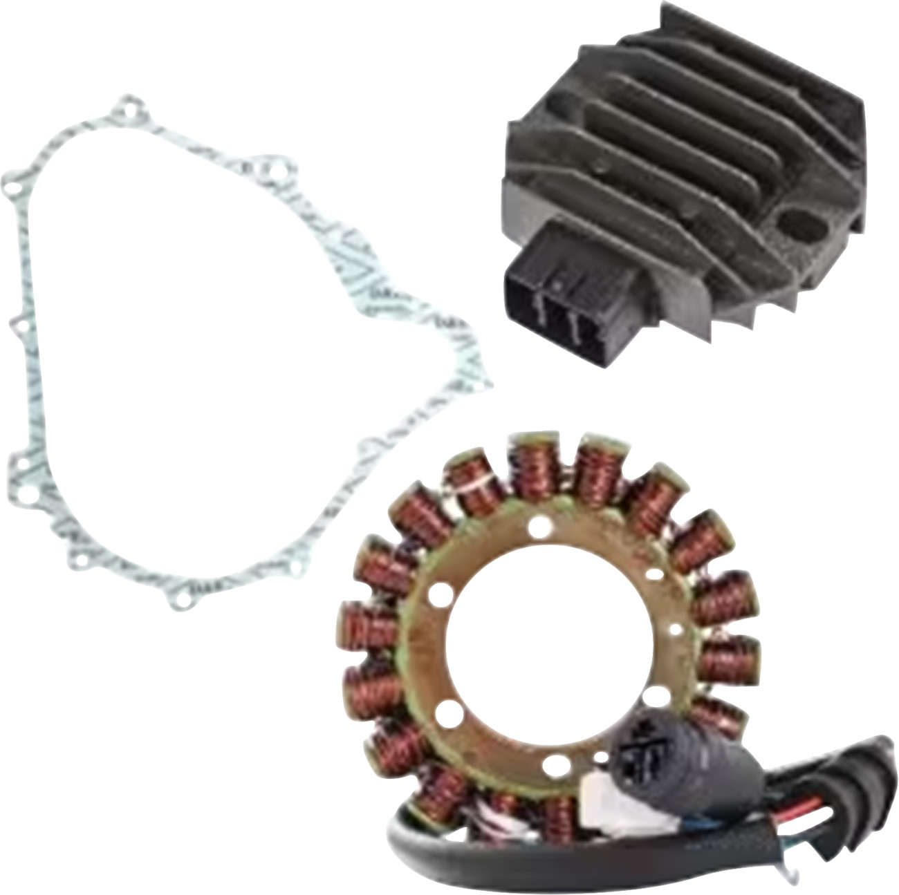 RICK'S MOTORSPORT ELECTRIC Charging Kit