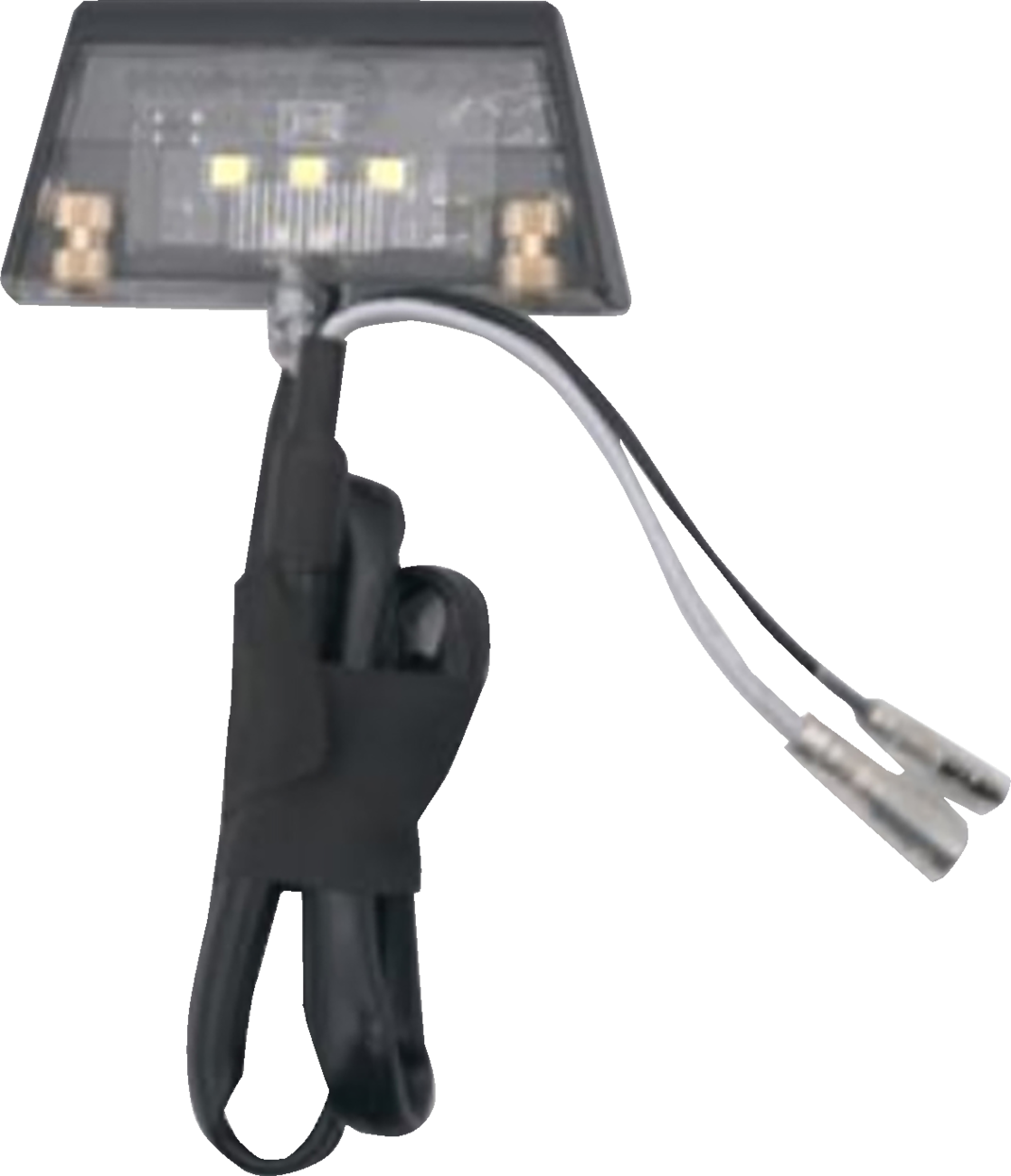 RAVEK License Plate Light