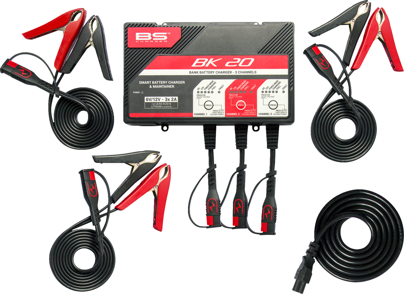 BS BATTERY BK 20 Smart Bank Battery Charger and Maintainer with Reconditioning Function
