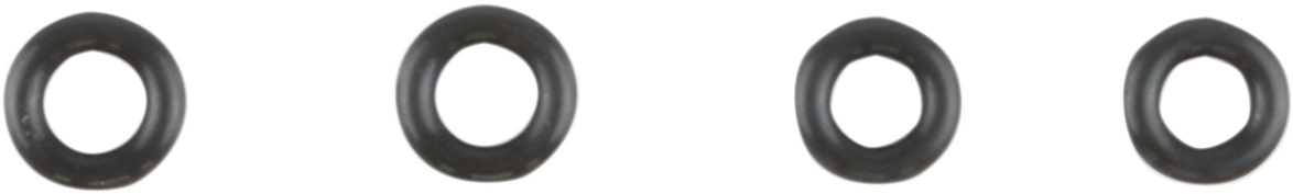 Induction Module O-Ring