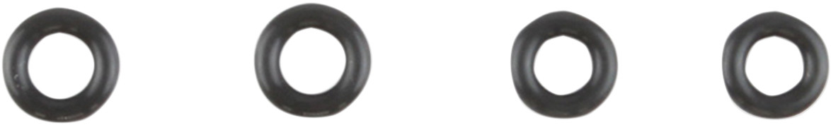 Induction Module O-Ring