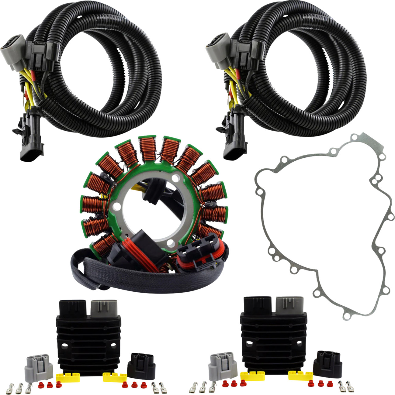 Rm stator Charging Kit - Polaris