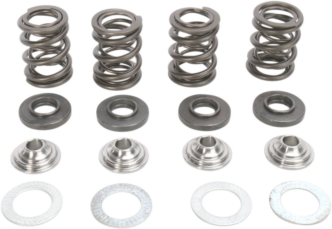 Valve Spring Kit