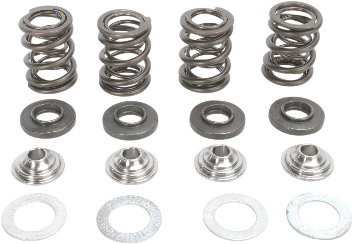 Valve Spring Kit