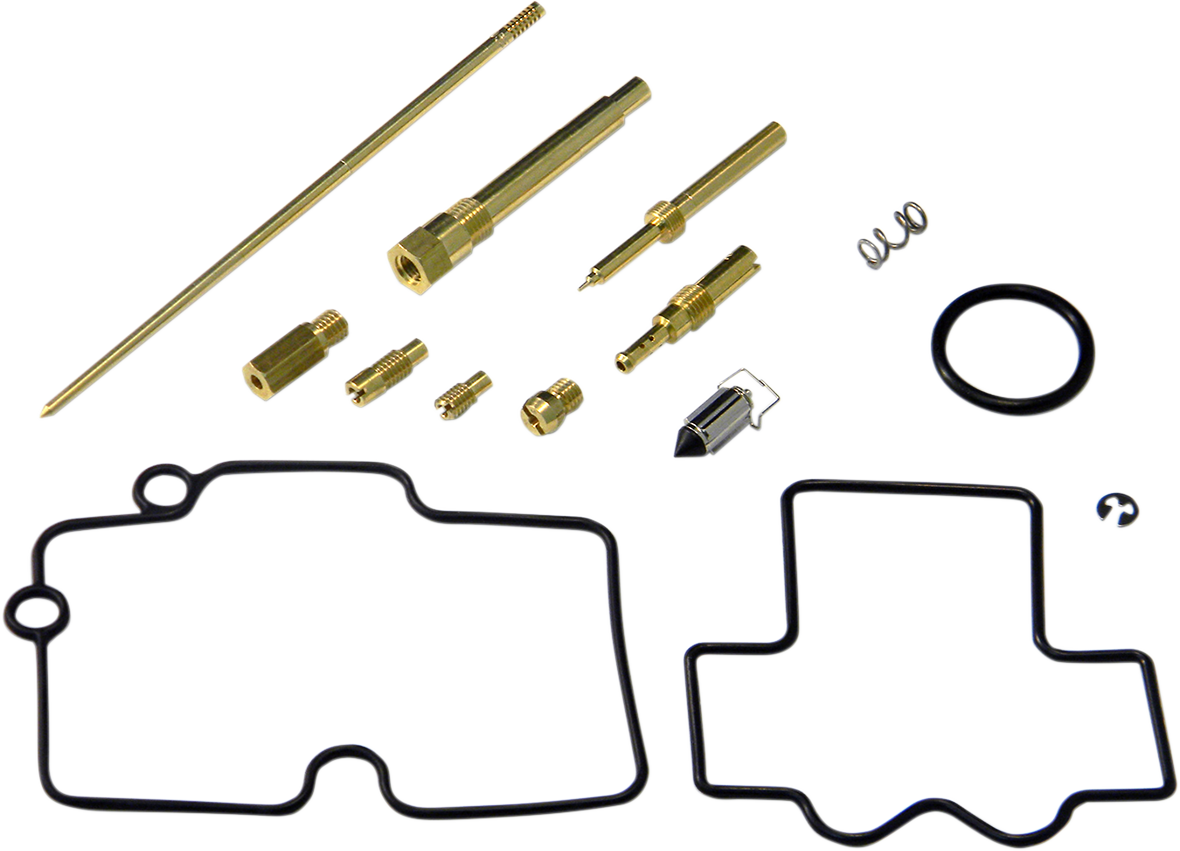 Carburetor Repair Kit