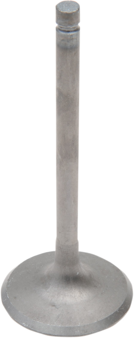 Vesrah Intake Valve - Kawasaki