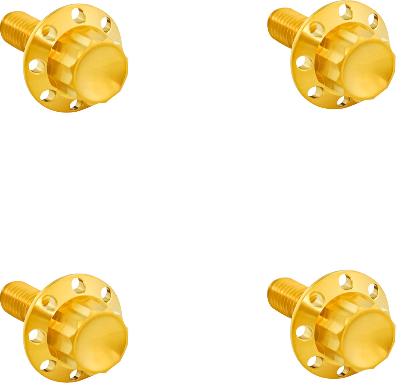 ARLEN NESS Titanium 12-Point Windshield Bolts