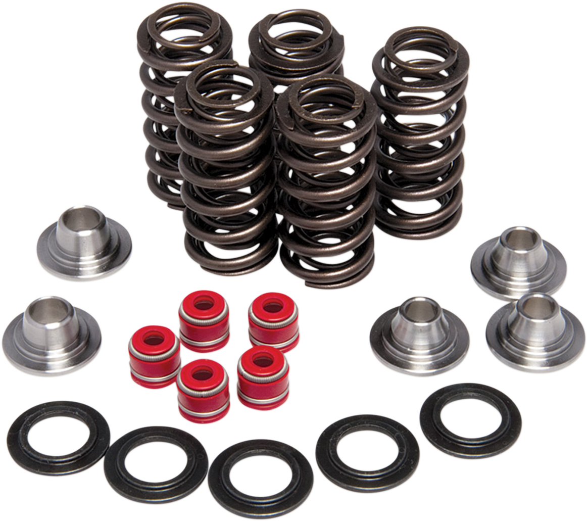 Valve Spring Kit