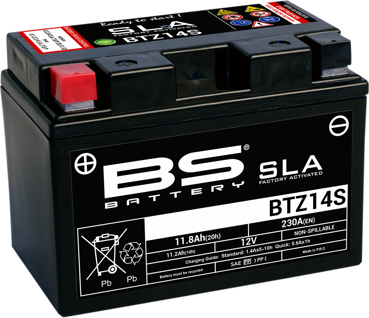 BS BATTERY SLA Factory- Activated AGM Maintenance-Free Battery