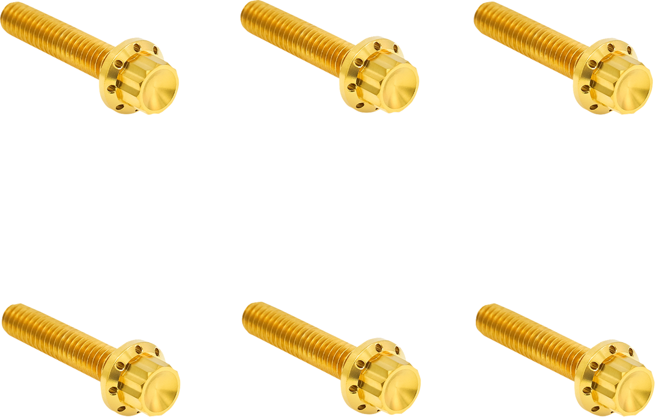 ARLEN NESS Transmission Side Cover Titanium 12-Point Bolt Kit