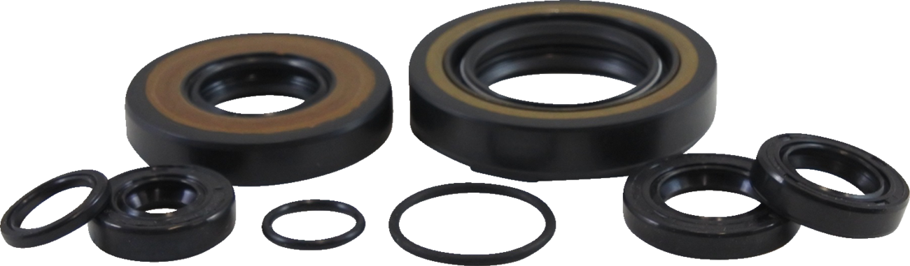 VINTCO Oil Seal Kit