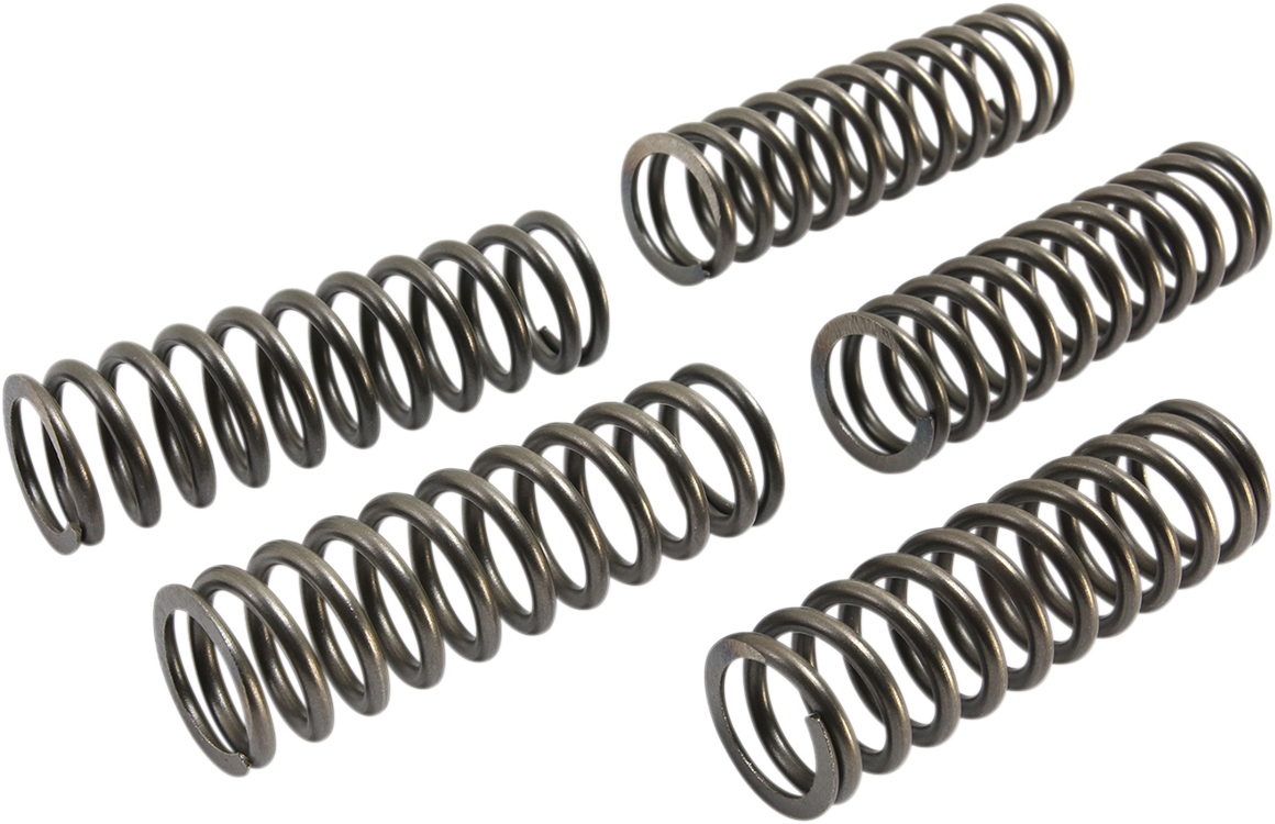 Ebc Clutch Springs 2016-2017 Suzuki GSX-S1000 / 2016-2017 Suzuki GSX-S1000 ABS / 2016-2017 Suzuki GSX-S1000F ABS