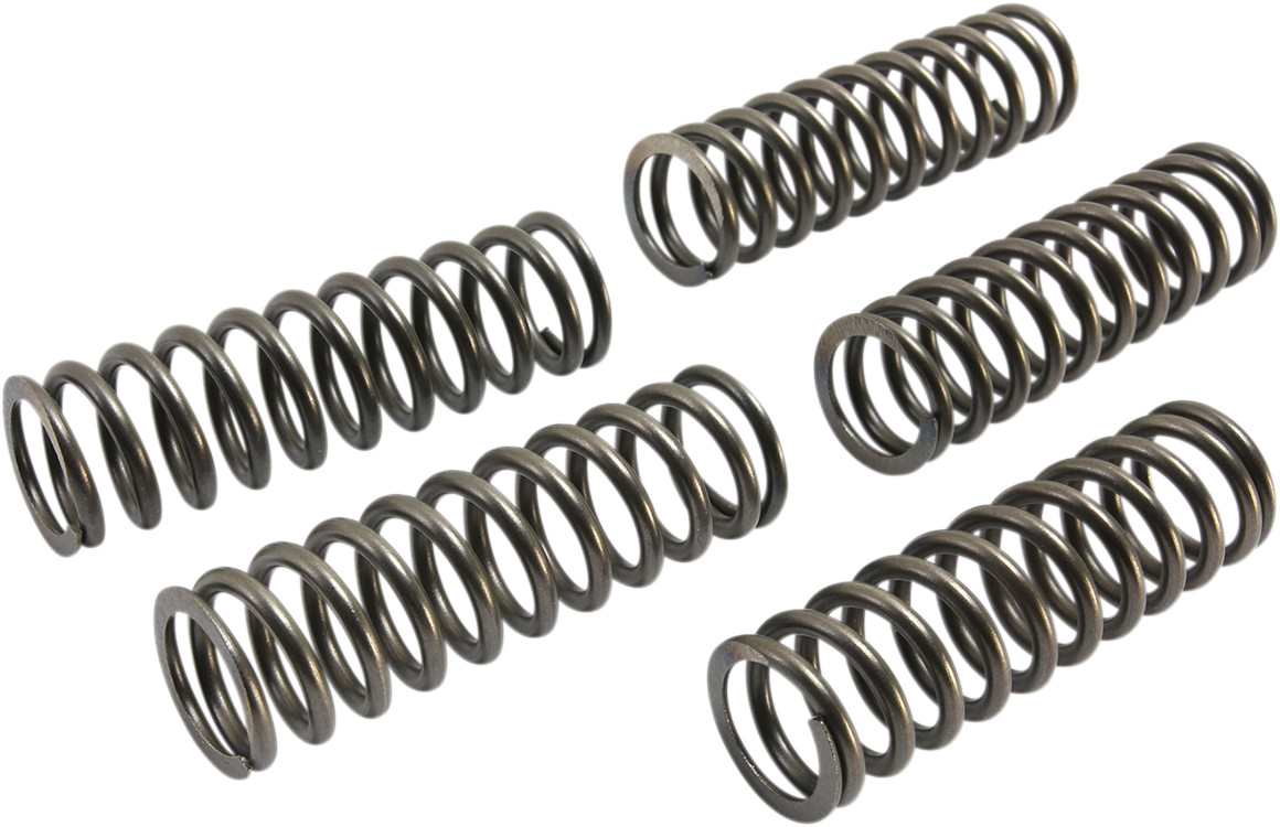EBC CSK Clutch Spring Set