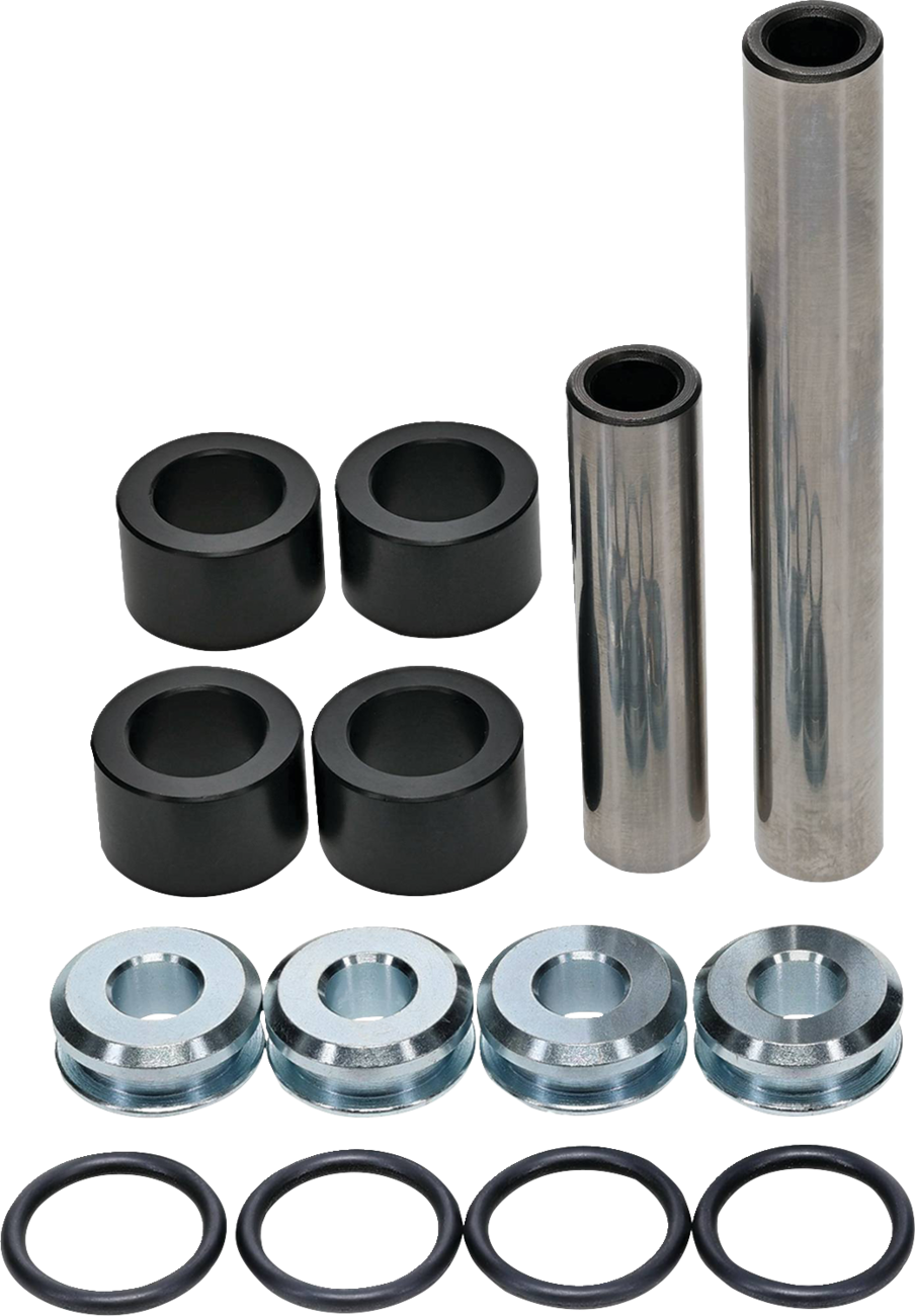 Rear Independent Suspension Linkage Rebuild Kit