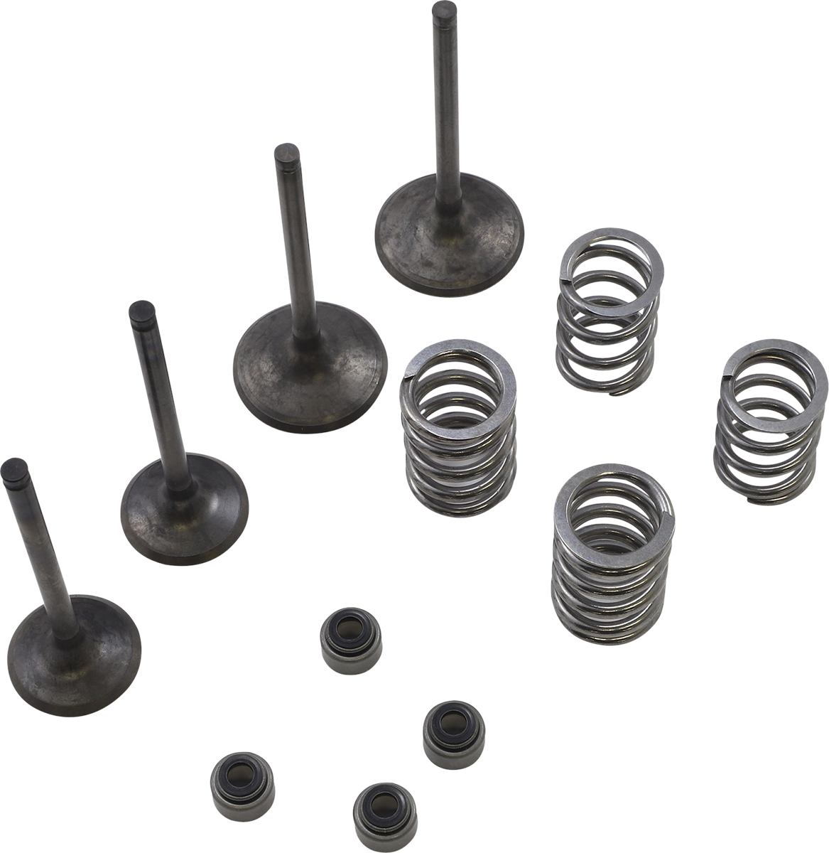 WISECO Valve Kit