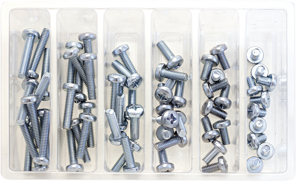 BOLT M6 Phillips Head Assortment 120/PK