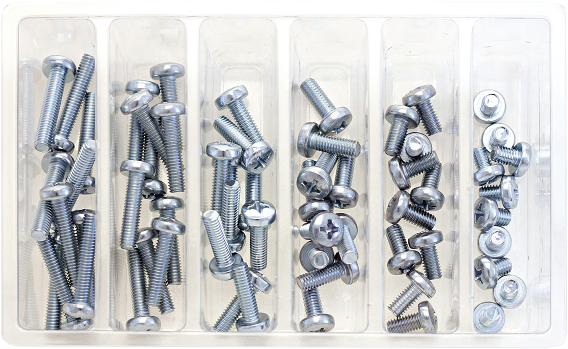 BOLT M6 Phillips Head Assortment 120/PK