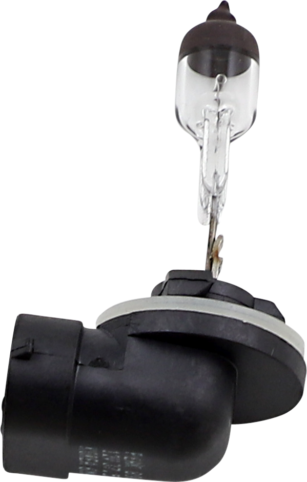 Halogen Bulb