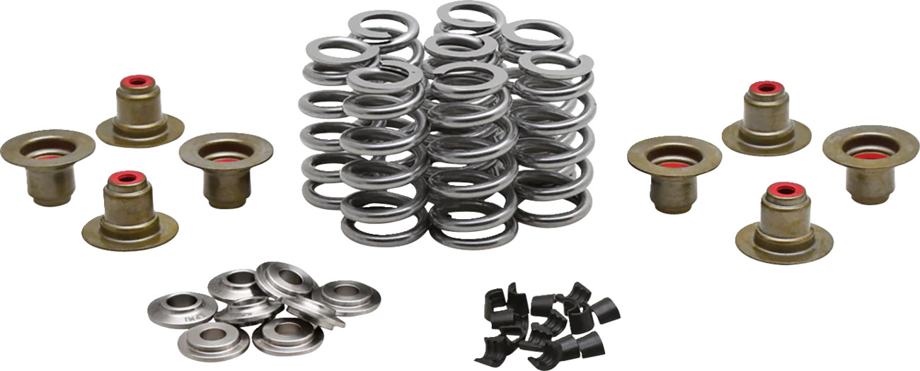 KIBBLEWHITE Beehive Valve™ Spring Kit