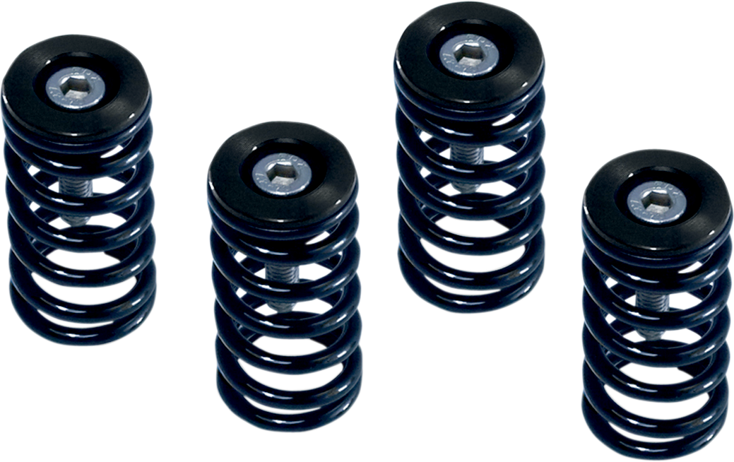 Clutch Spring Kit