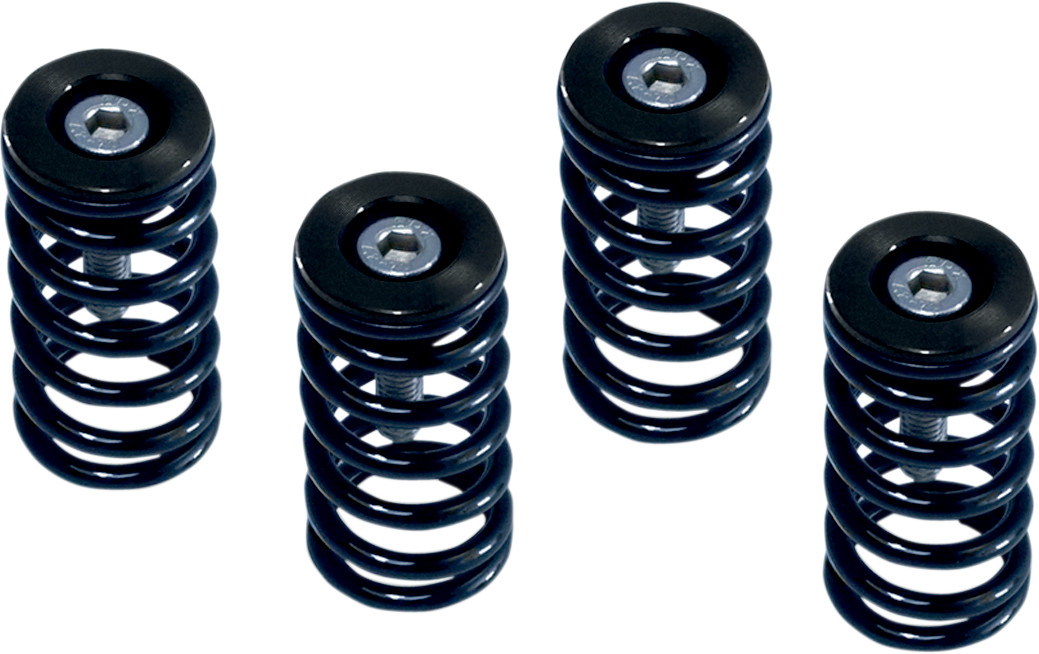 BARNETT Clutch Spring Kit