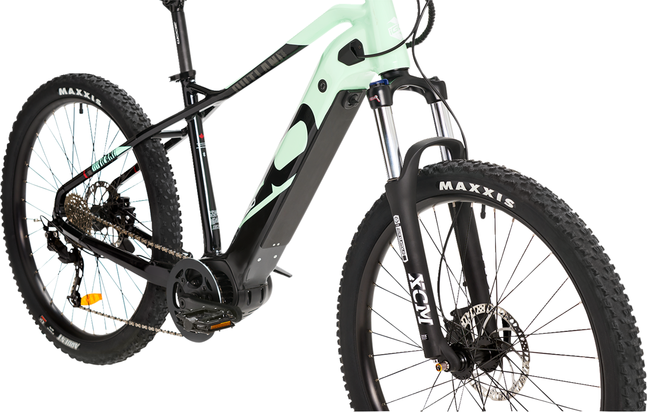 IGO ELECTRIC BIKES Outland Sawback RS E-Bike