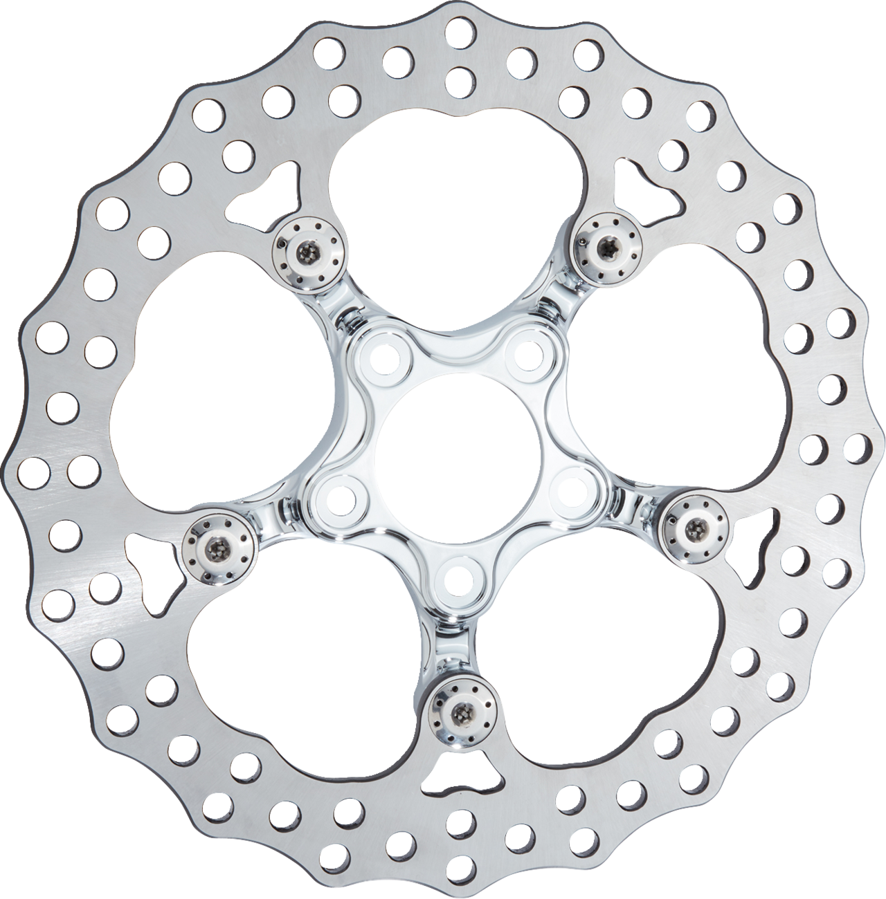 Arlen ness Spider Rotor - 11.8" - Chrome - Rear Harley Davidson