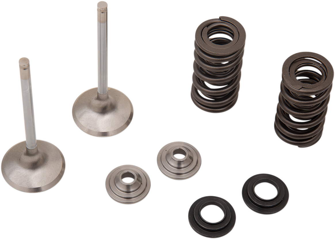 Stainless Exhaust Valve and Spring Kit