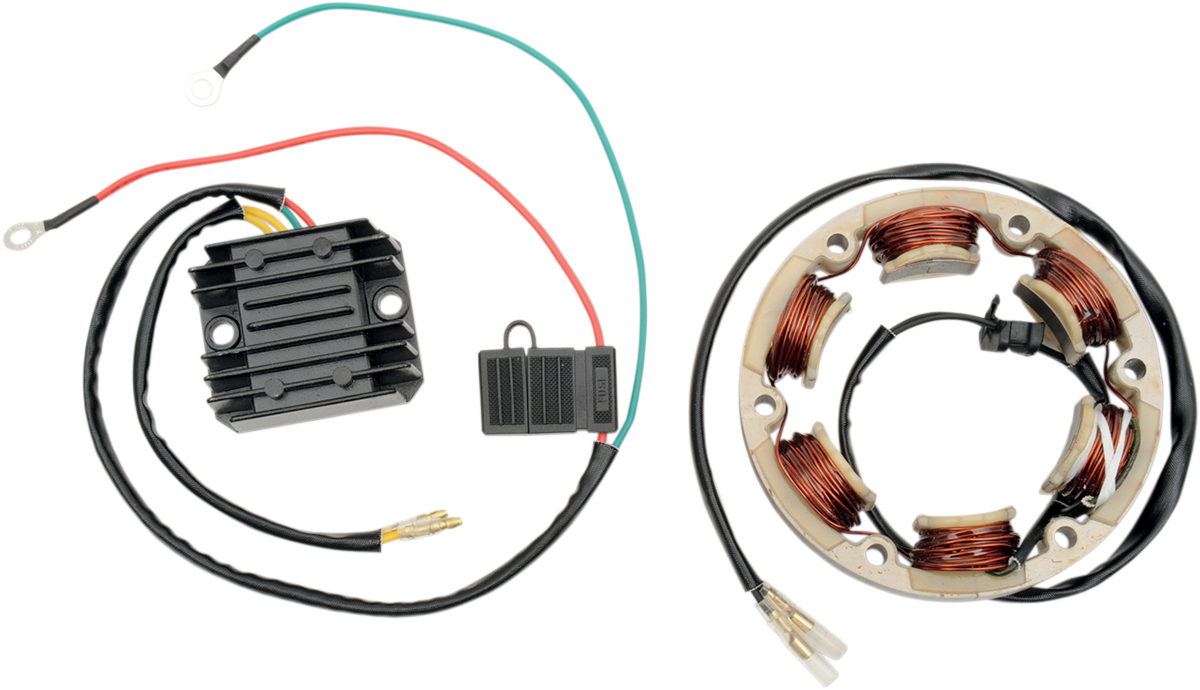 RICK'S MOTORSPORT ELECTRIC High-Output Charging Kit