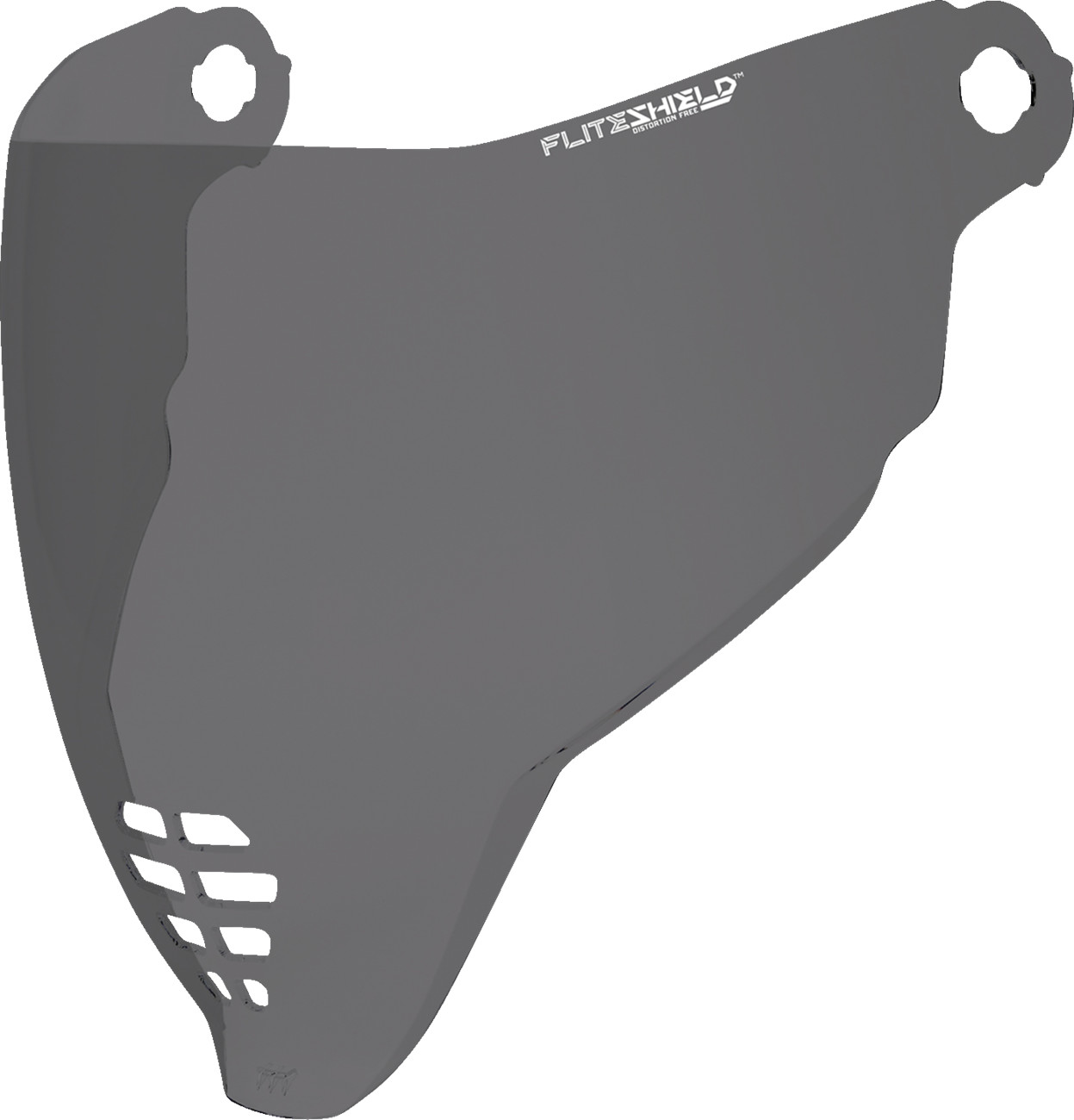 ICON FliteShield™ 22.06 Shield