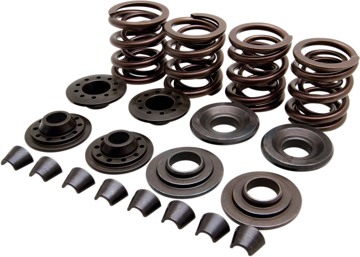 KIBBLEWHITE OEM Replacement Valve Spring Kit