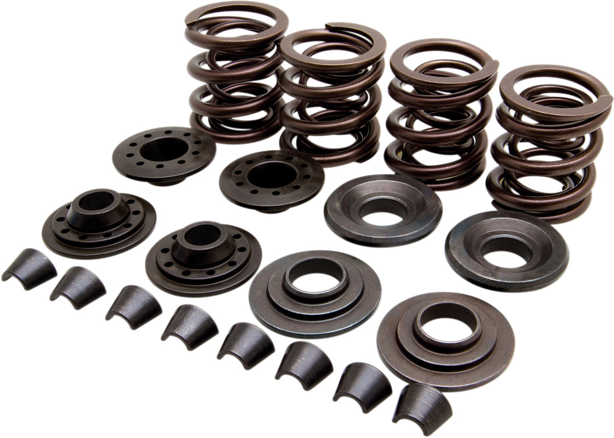 KIBBLEWHITE OEM Replacement Valve Spring Kit