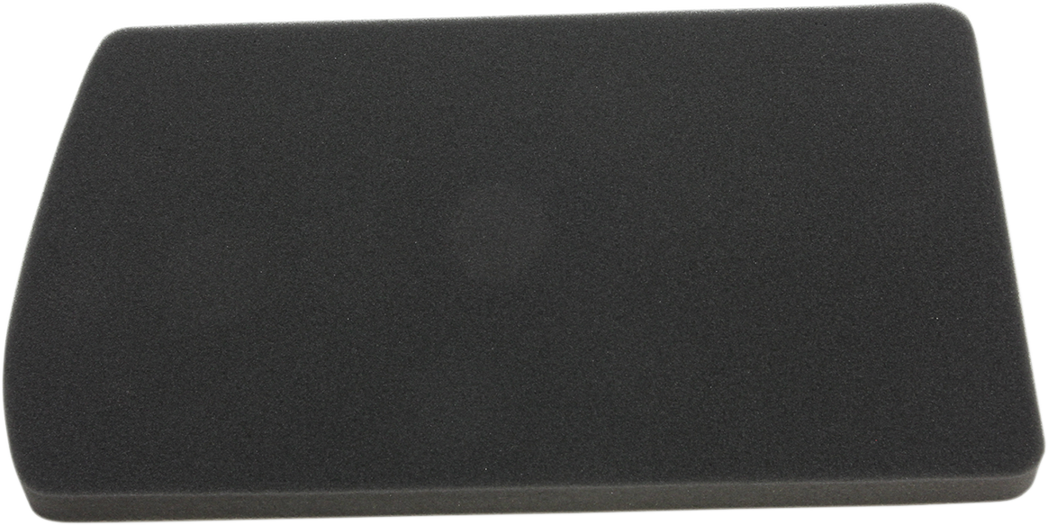 HIFLOFILTRO Replacement Air Filter