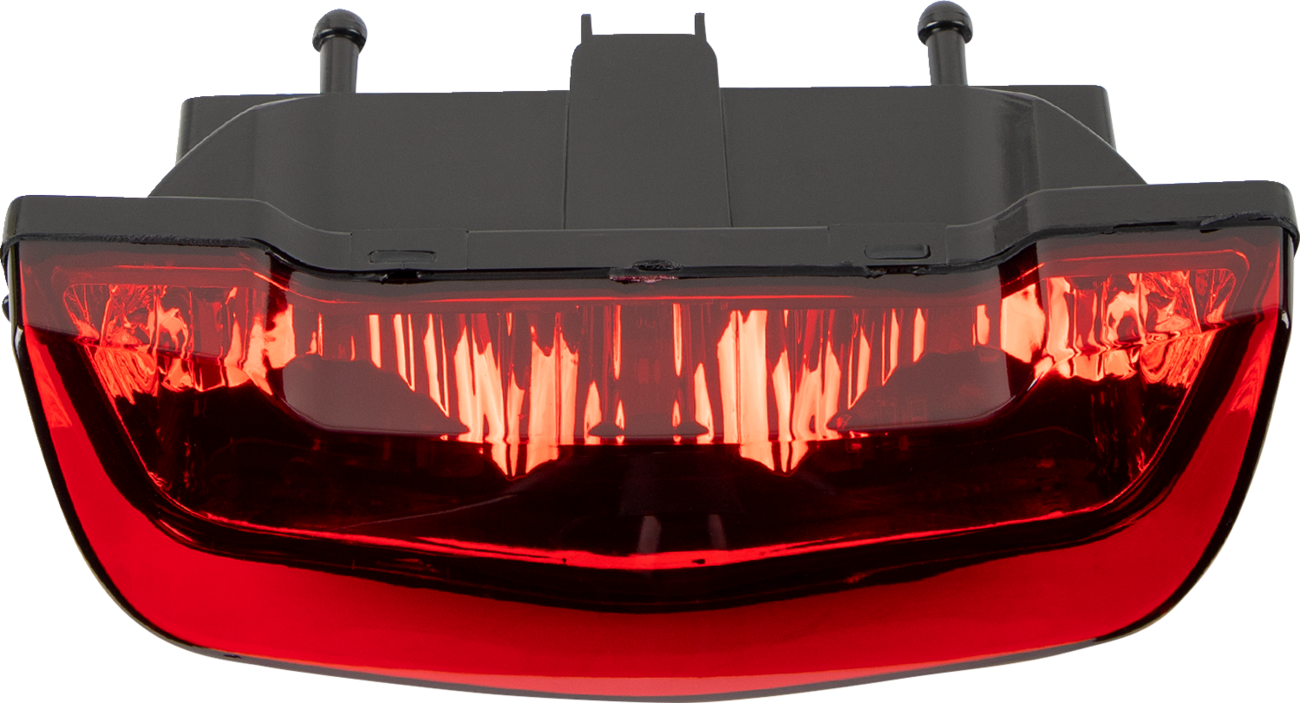 LED Taillight