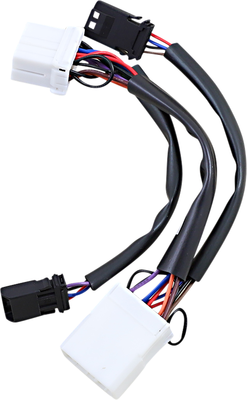 CUSTOM DYNAMICS Wiring adapter for Dual Color Plasma Rods