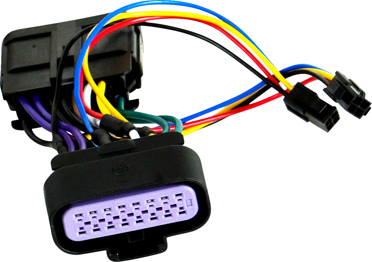 Wire Harness