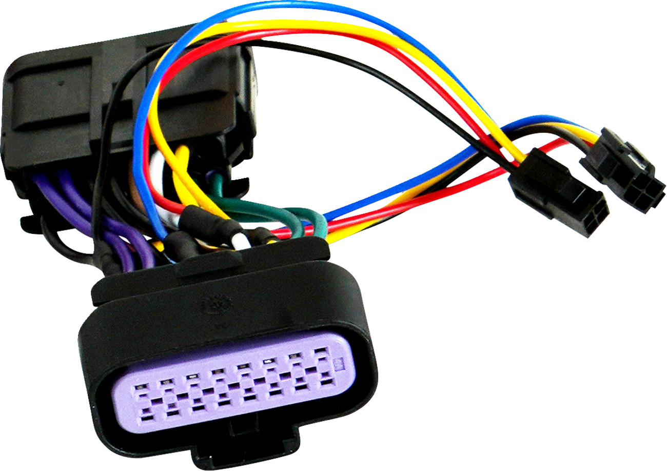 SHOW CHROME Wire Harness